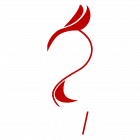 Cord white e1764650927121