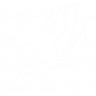 Fairy_Tail White e1764645432654