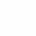 Imperium_pv_H White e1764646592402