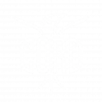 CORD Fondo negro e1769764307588